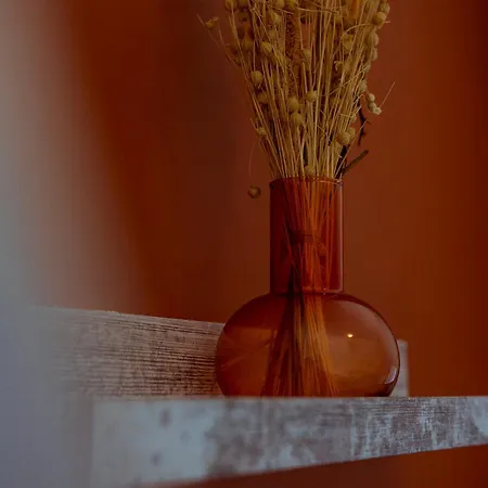 Le Cocon Du Nord - Wifi - Metro Lille Roubaix