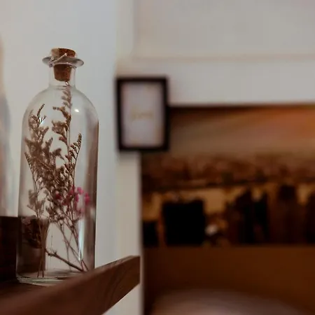 Le Cocon Du Nord - Wifi - Metro Lille Vakantiehuis